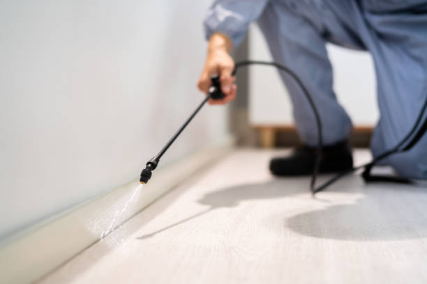 Licensed Rodent Control service in Murray County County, GA - Nex Pest Control